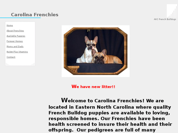 www.carolinafrenchies.com