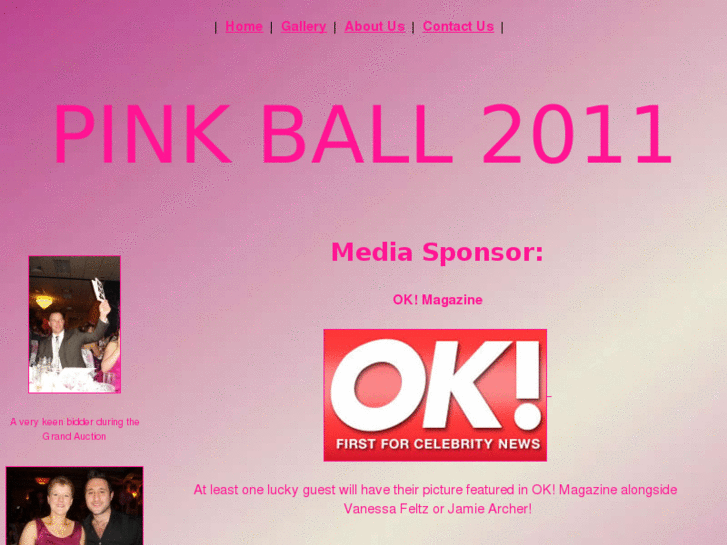 www.charitypinkball.com