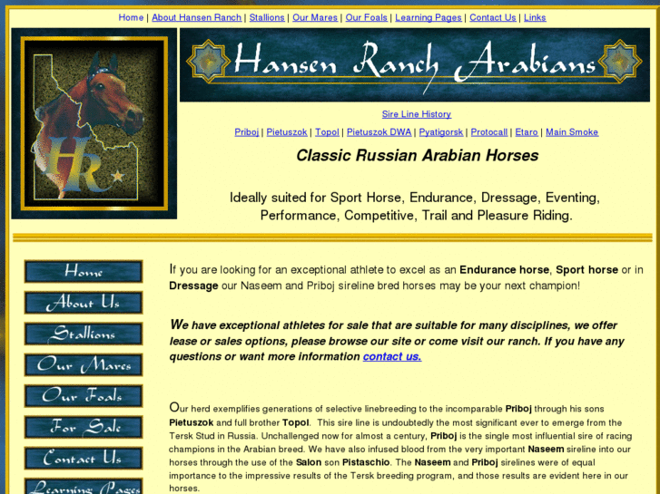 www.hrarabianhorses.com