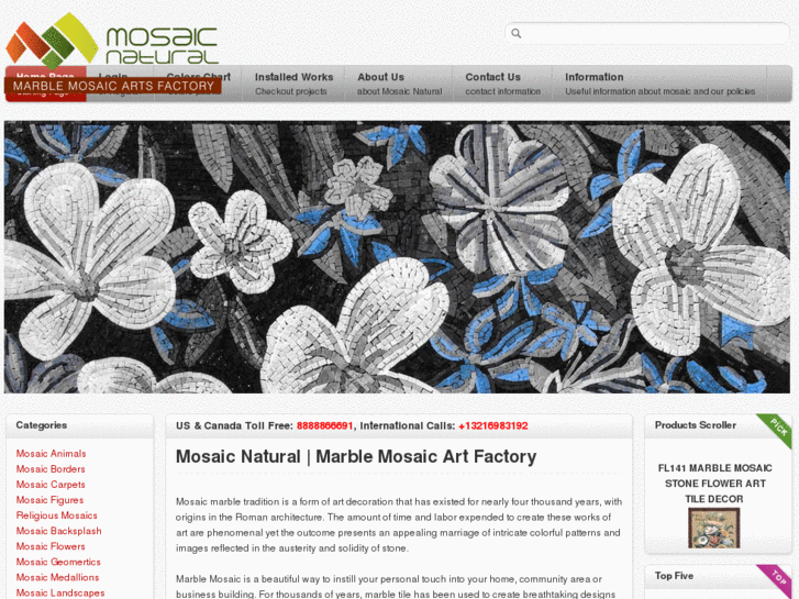 www.mosaicnatural.com