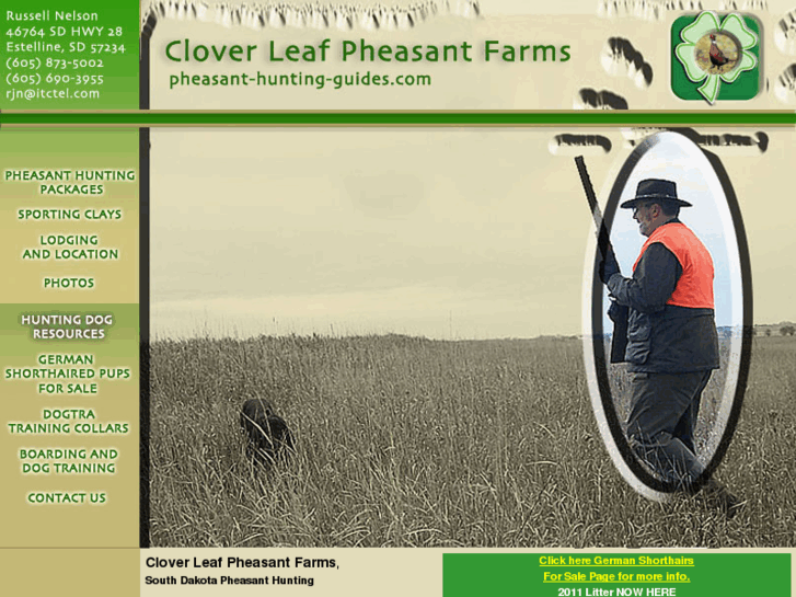www.pheasant-hunting-guides.com