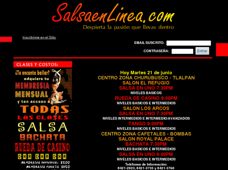 www.salsaenlinea.com