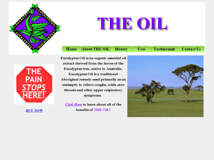 www.theoilonline.com