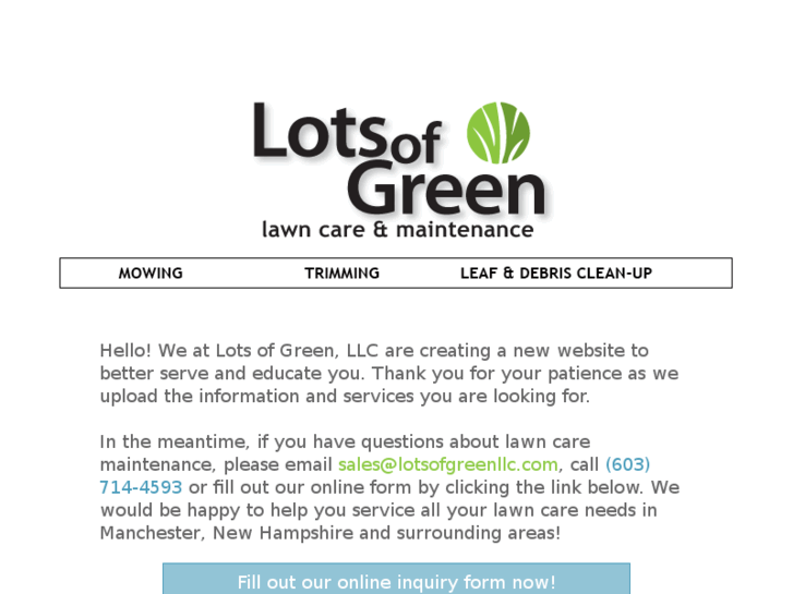 www.lotsofgreenllc.com