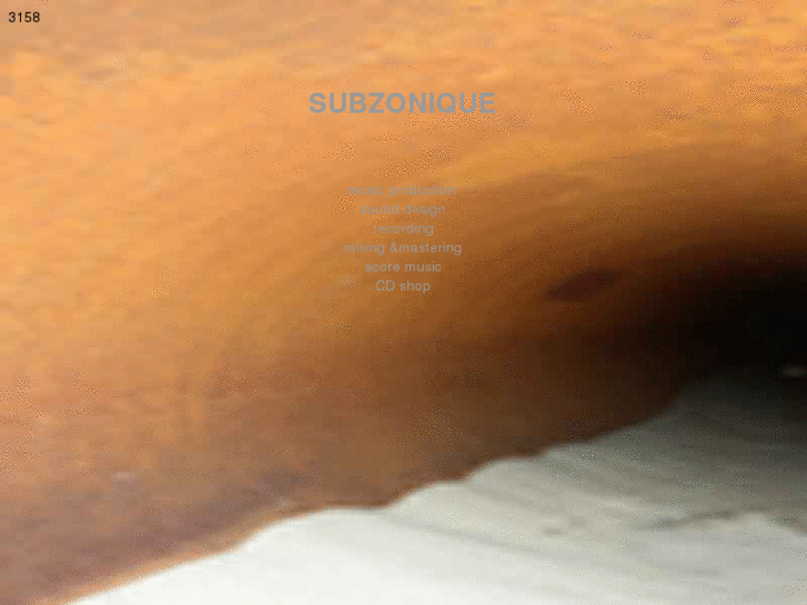 www.subzonique.dk