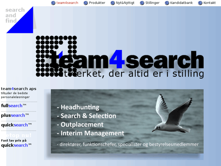 www.team4search.com