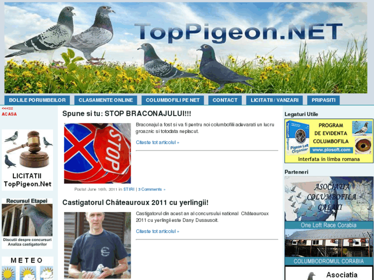 www.toppigeon.net