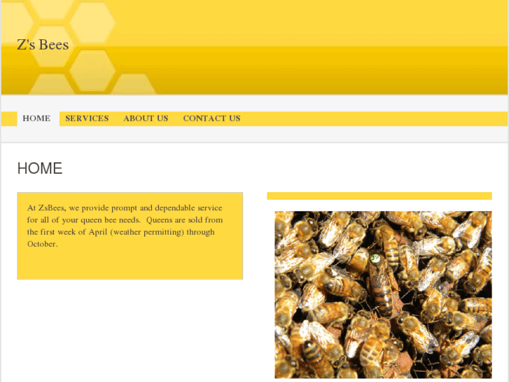 www.zsbees.com