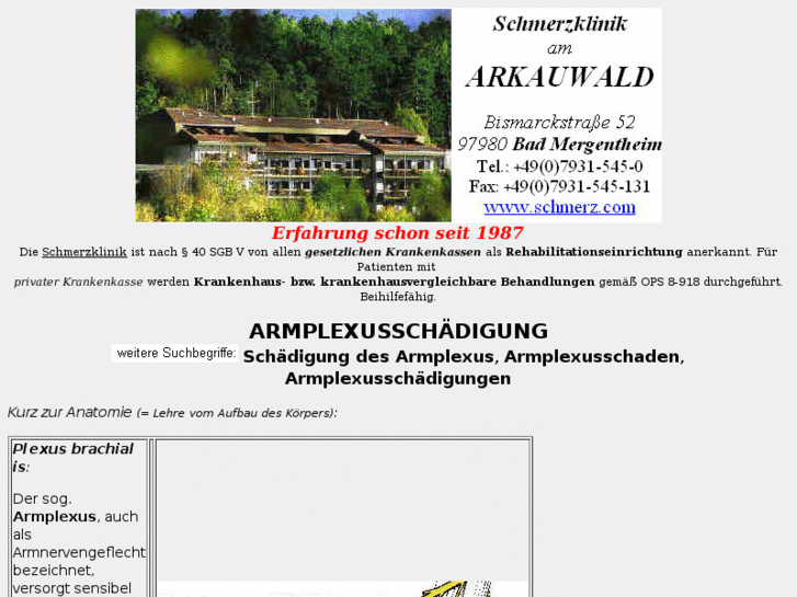 www.armplexusschaedigung.de