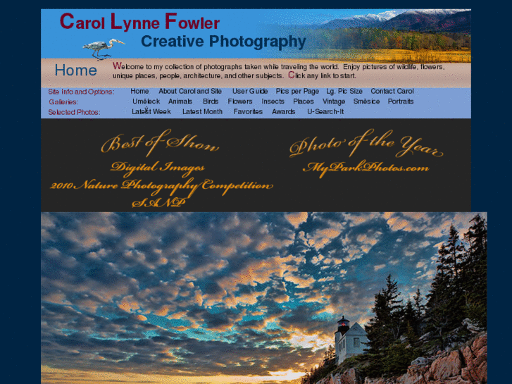 www.carollynneimages.com