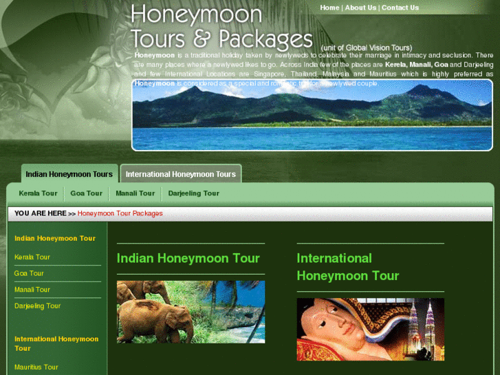 www.honeymoontourspackages.com