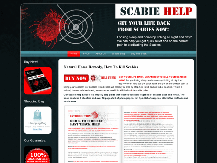 www.scabiehelp.com