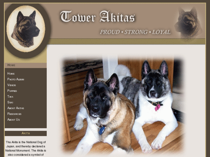 www.towerakitas.com