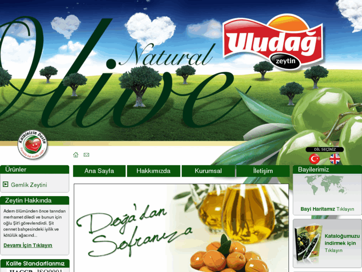 www.uludagzeytin.com