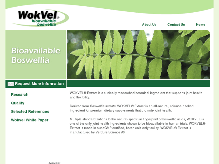 www.wokvel.com