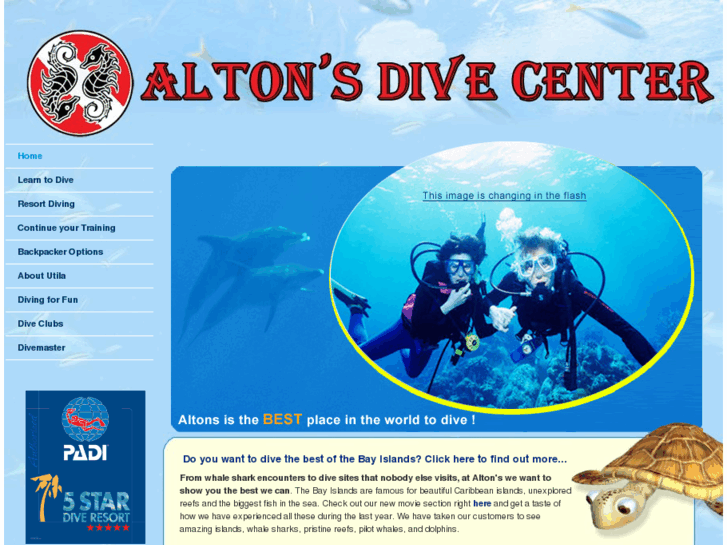 www.altonsdiveshop.com