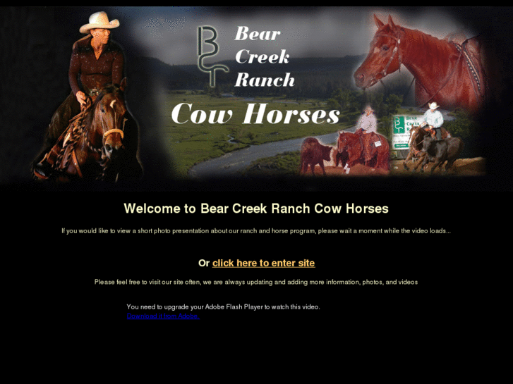 www.bearcreekranchcowhorses.com