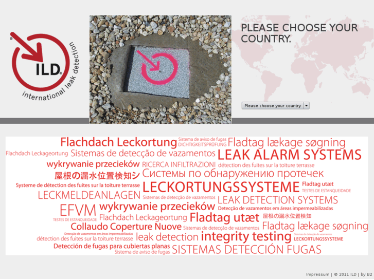 www.flachdach-leckortung.com