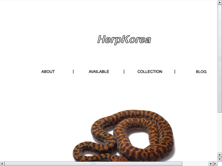 www.herpkorea.com