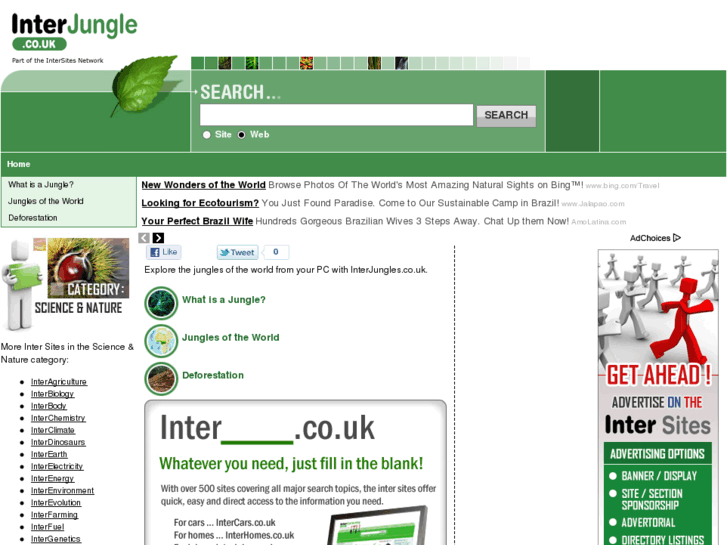 www.interjungle.co.uk