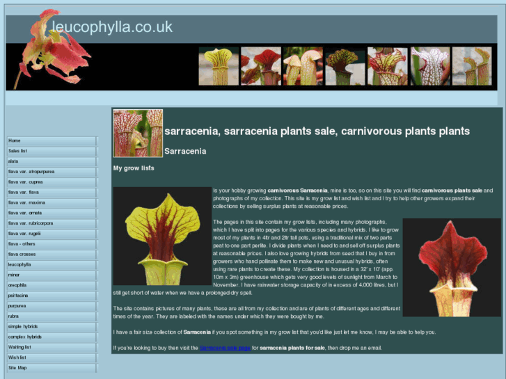 www.leucophylla.co.uk