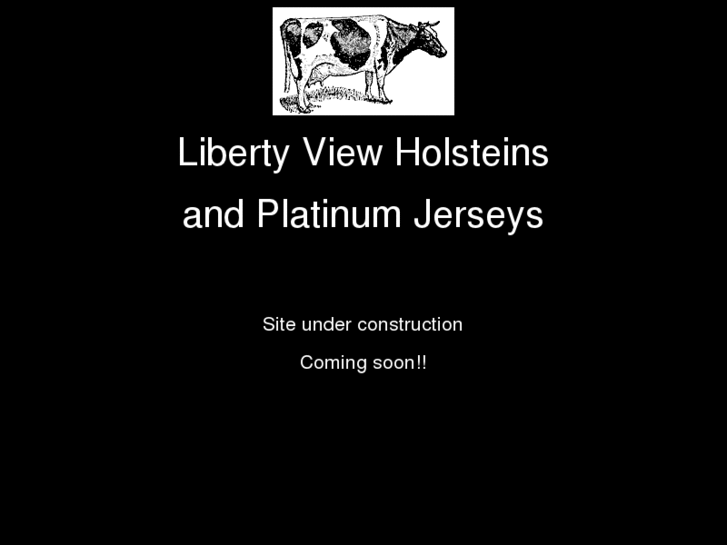 www.libertyviewholsteins.com