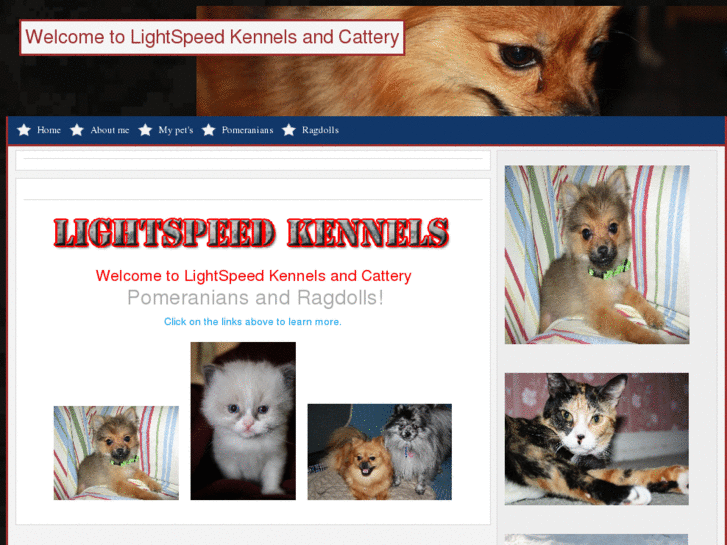 www.lightspeedkennels.com