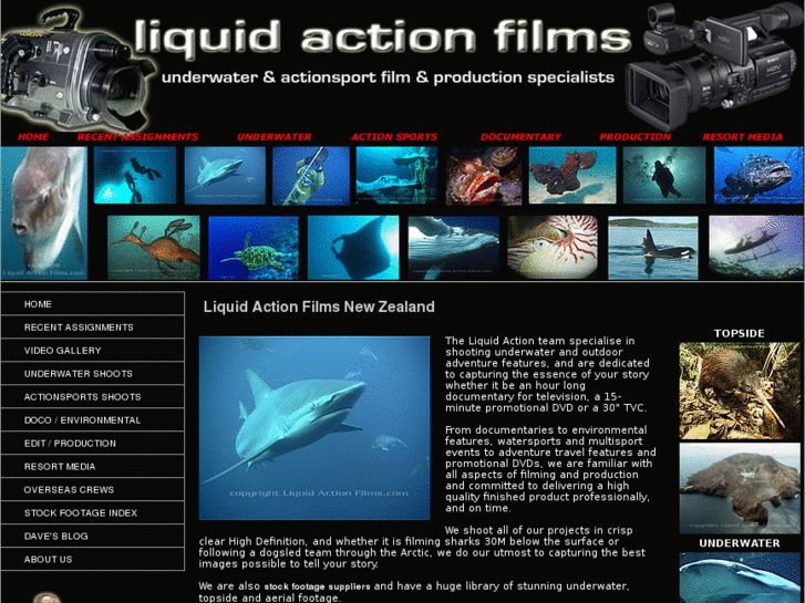 www.liquidactionfilms.com