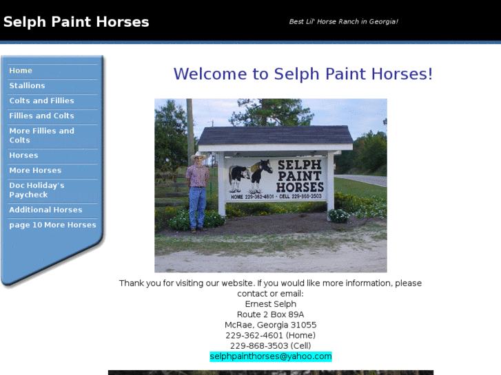 www.selphpainthorses.com