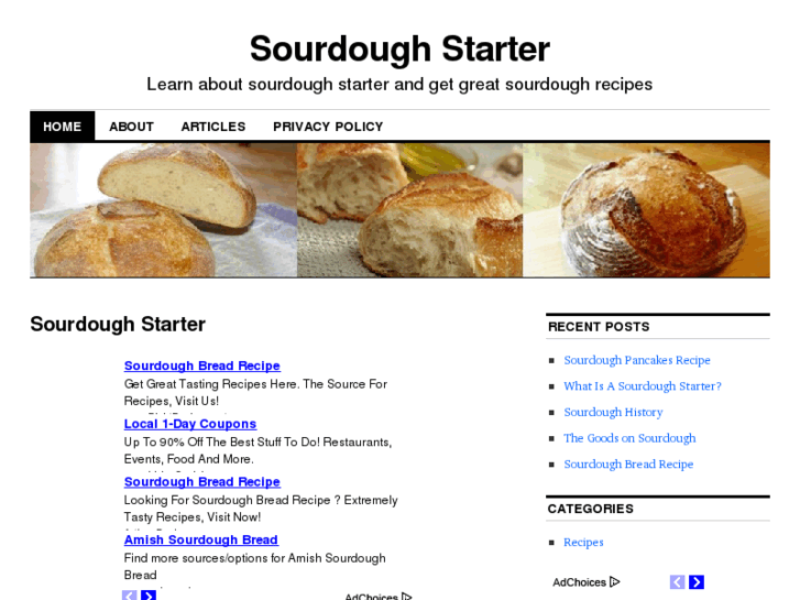 www.sourdoughstarter.org