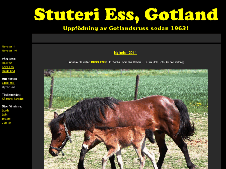 www.stuteriess.com