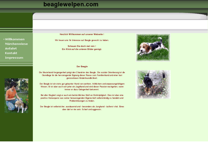 www.beaglewelpen.com