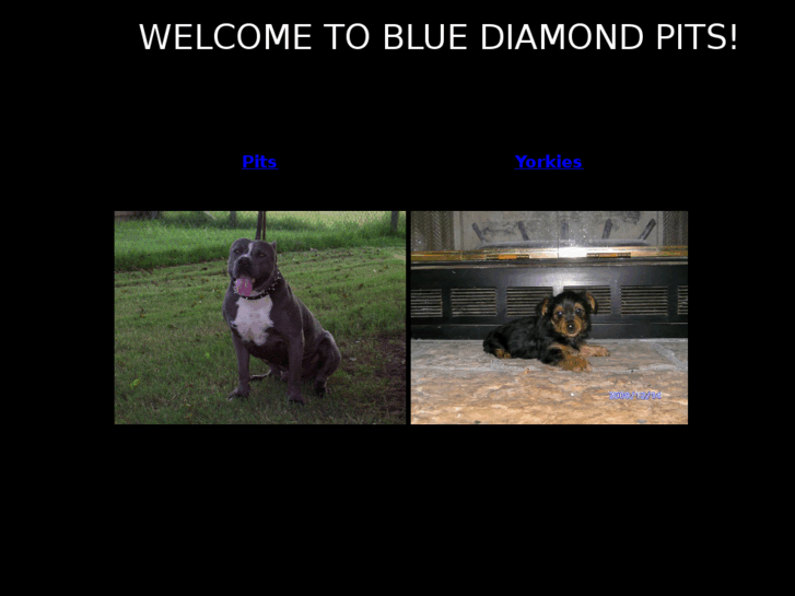 www.bluediamondpits.com