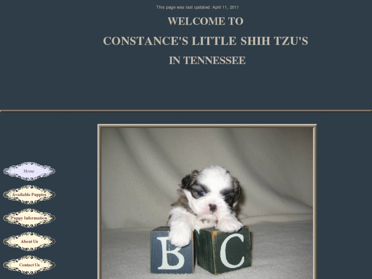 www.constanceslittleshihtzus.com