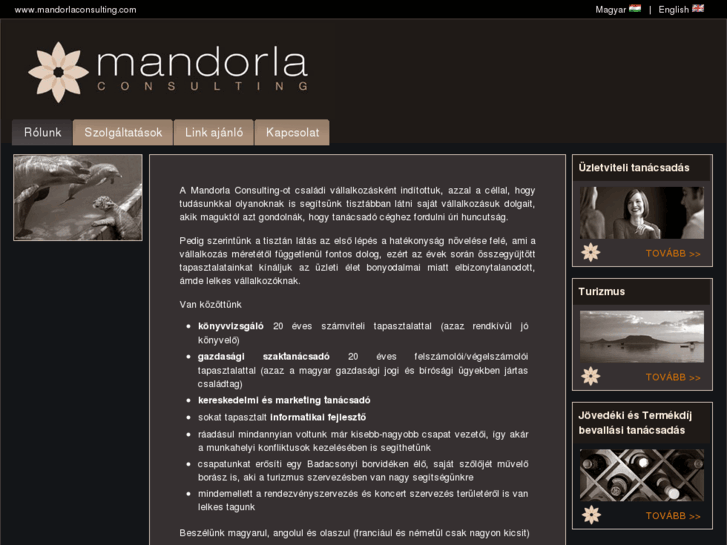 www.mandorlaconsulting.com