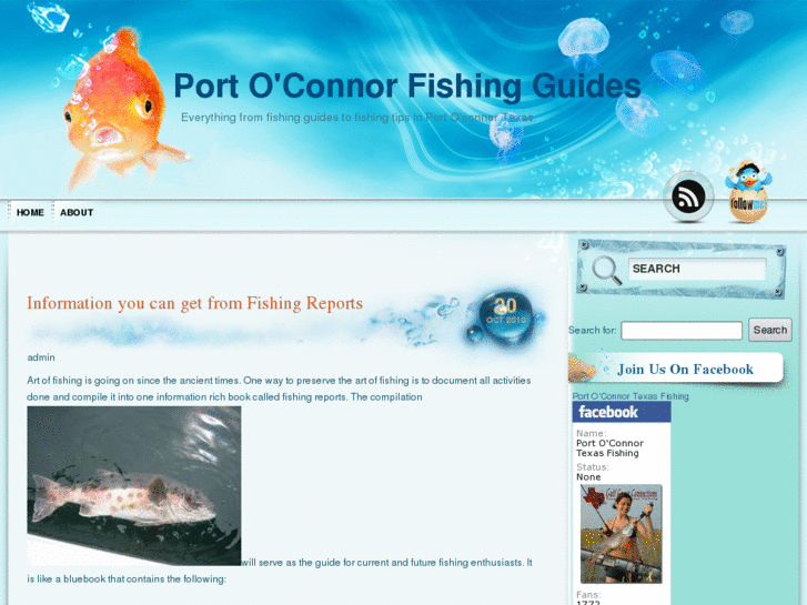 www.portoconnorfishingguides.net