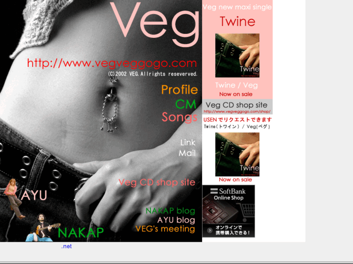 www.vegveggogo.com