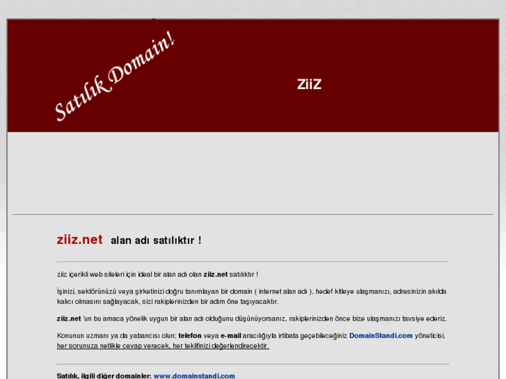 www.ziiz.net