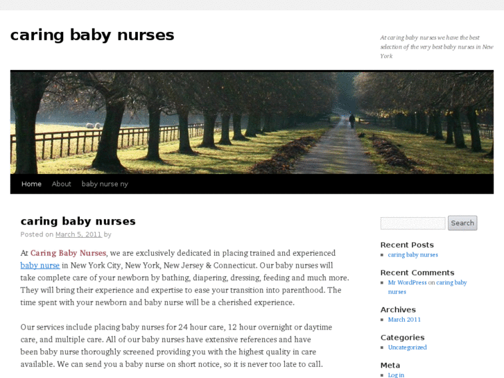 www.babynursesny.info