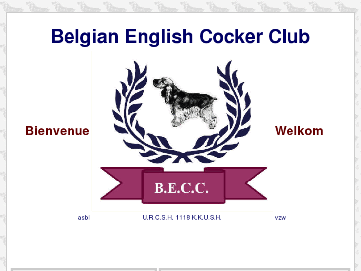 www.belgian-english-cocker-club.be