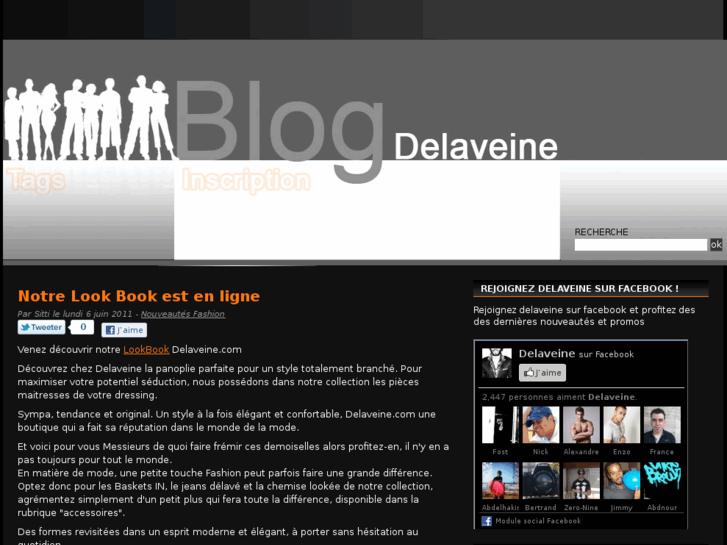 www.blog-delaveine.com