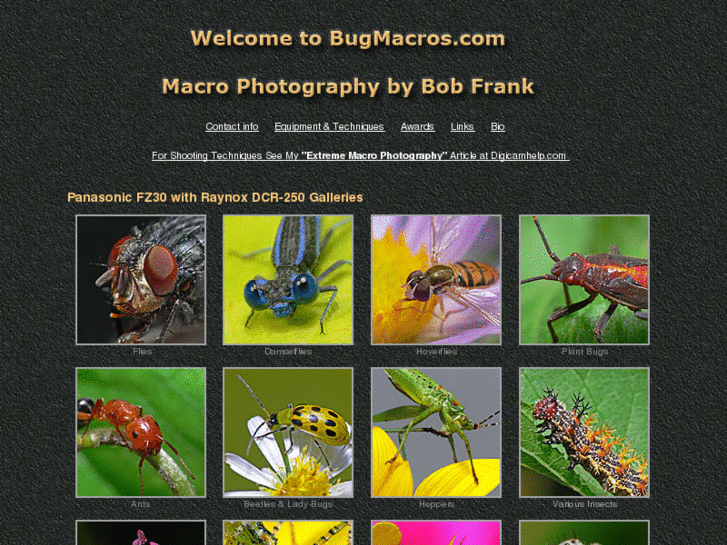 www.bugmacros.com