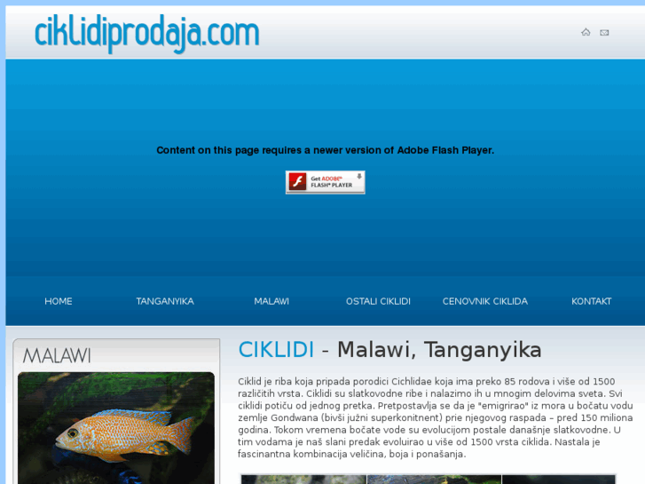 www.ciklidiprodaja.com