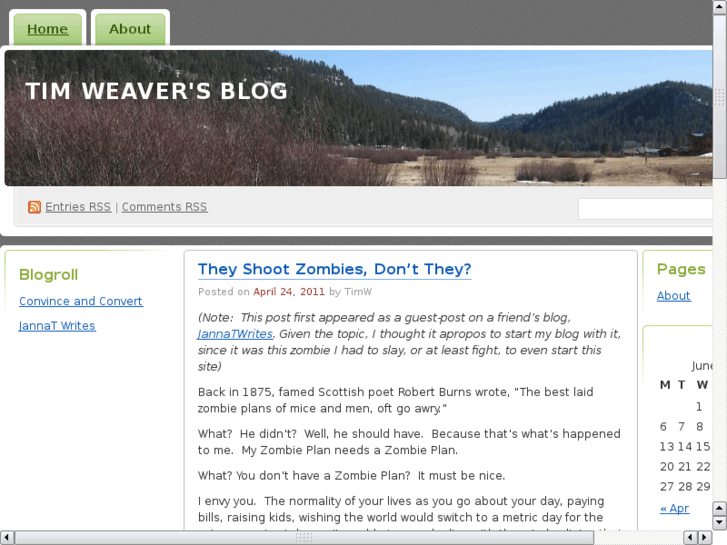 www.mtimweaver.com
