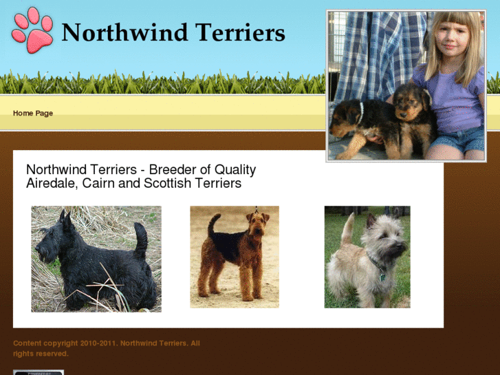 www.northwindterriers.com