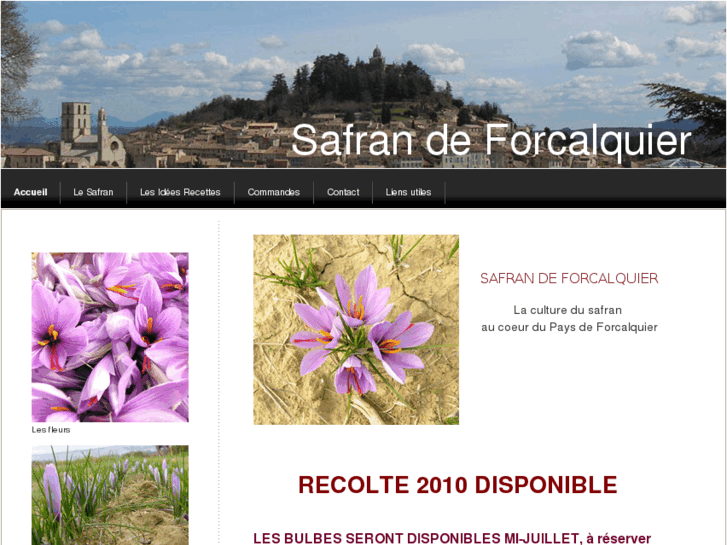 www.safrandeforcalquier.com