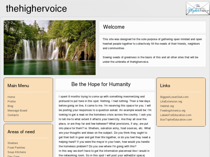 www.thehighervoice.com