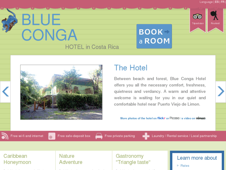 www.bluecongahotel.com