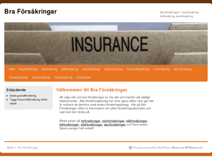 www.braforsakringar.com