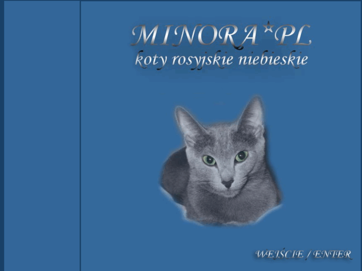 www.minora.pl